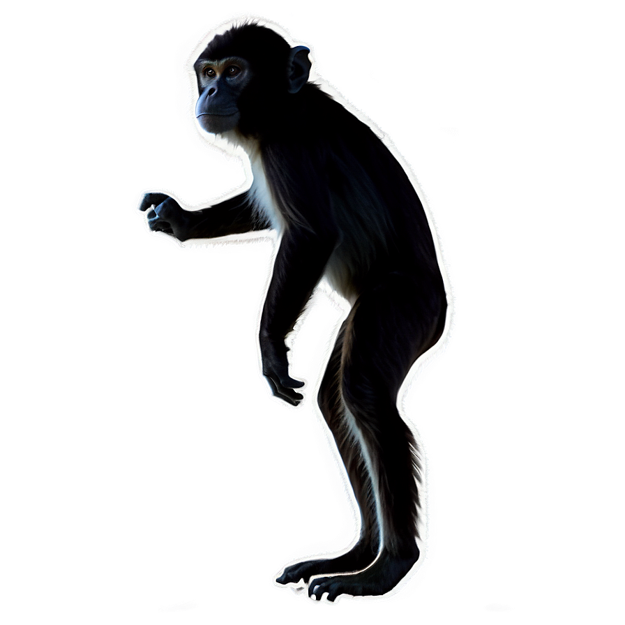 Monkey Silhouette Png 39 PNG Image