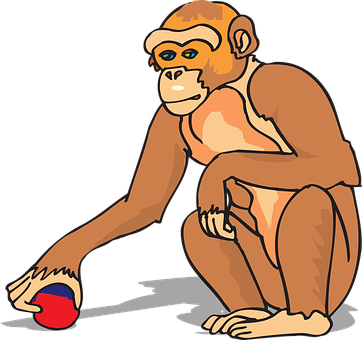 Monkey Touching Red Blue Ball PNG Image