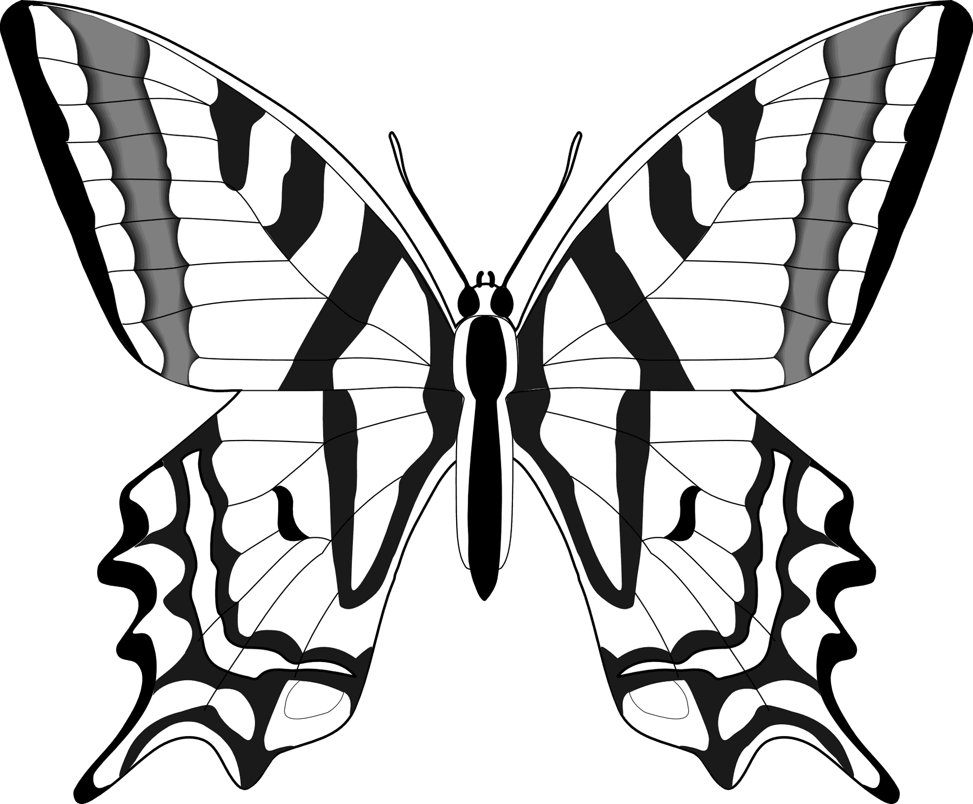 Monochrome Butterfly Illustration PNG Image