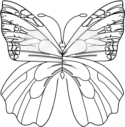 Monochrome Butterfly Illustration.png PNG Image