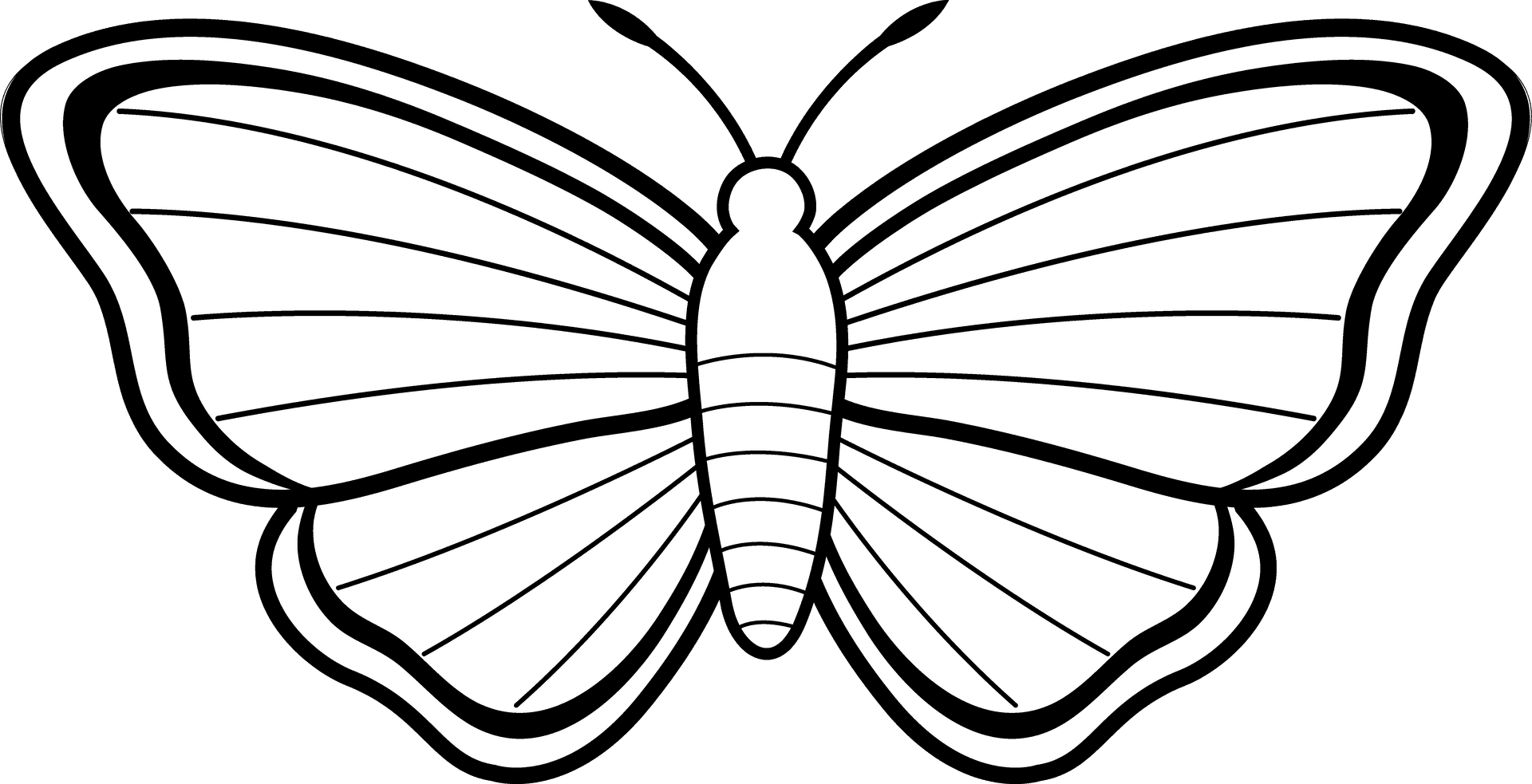 Monochrome Butterfly Illustration PNG Image