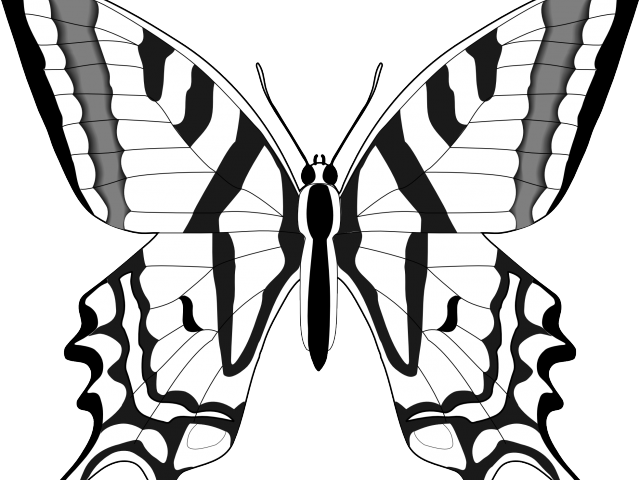 Monochrome Butterfly Outline PNG Image