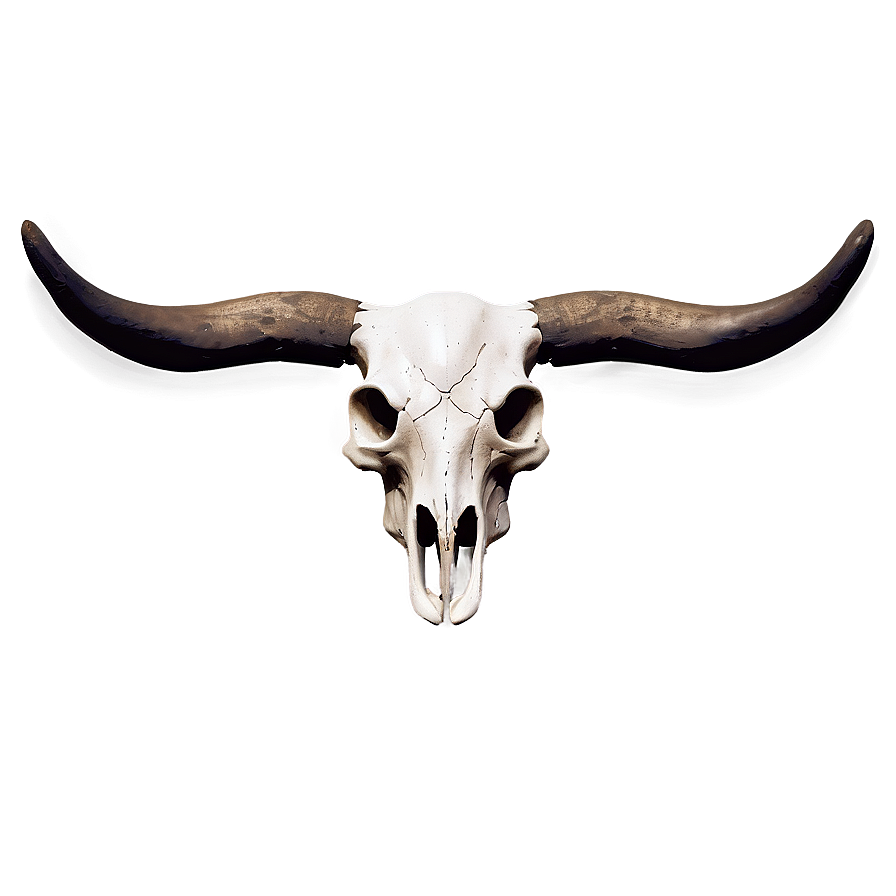 Monochrome Cow Skull Png 06132024 PNG Image