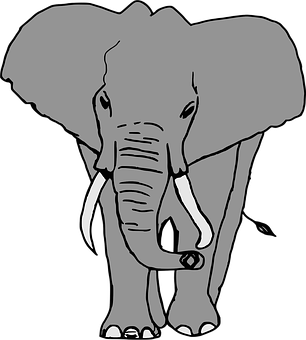 Monochrome Elephant Illustration PNG Image