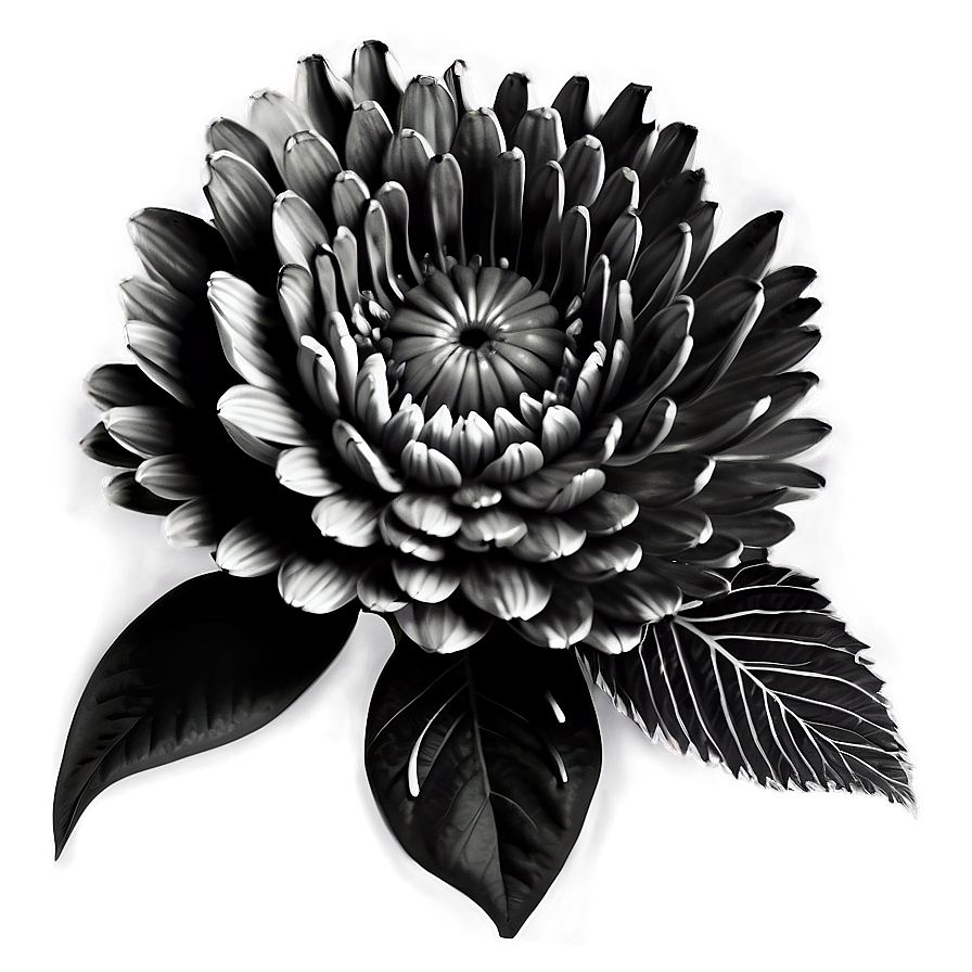 Monochrome Indie Flower Png 06252024 PNG Image