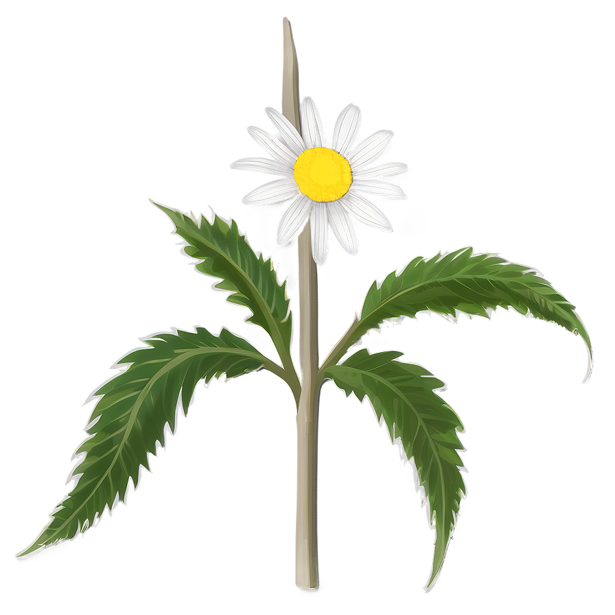 Monochrome Indie Flower Png 88 PNG Image