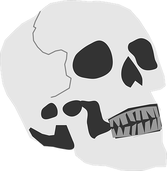 Monochrome Skull Illustration PNG Image