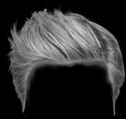 Monochrome Stylized Hair Wig PNG Image