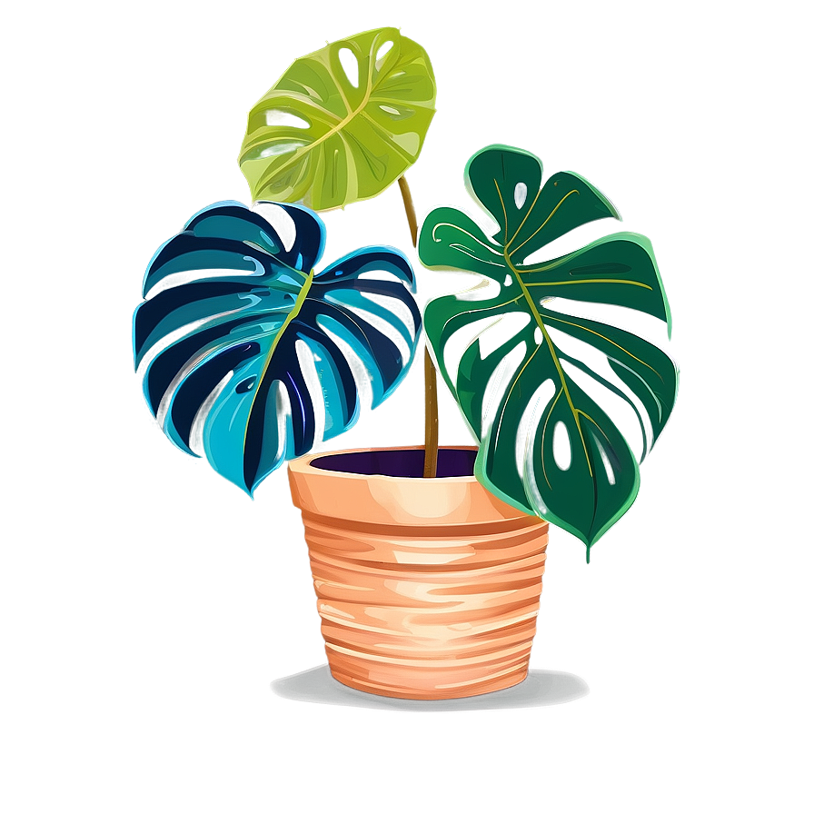 Monstera In Pot Drawing Png 31 PNG Image