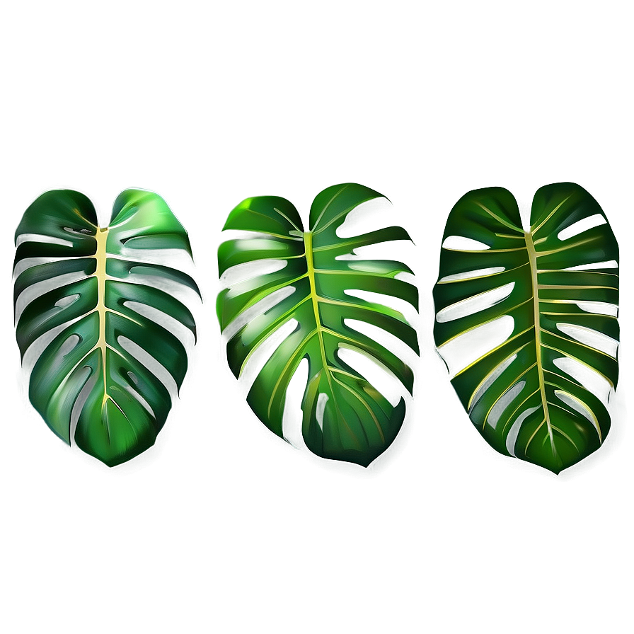 Monstera Leaf Abstract Art Png Hsn1 PNG Image