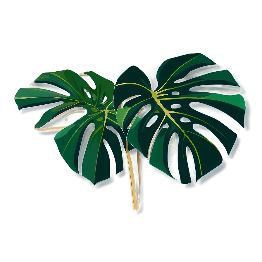 Monstera Leaf Flat Design Png 05232024 PNG Image