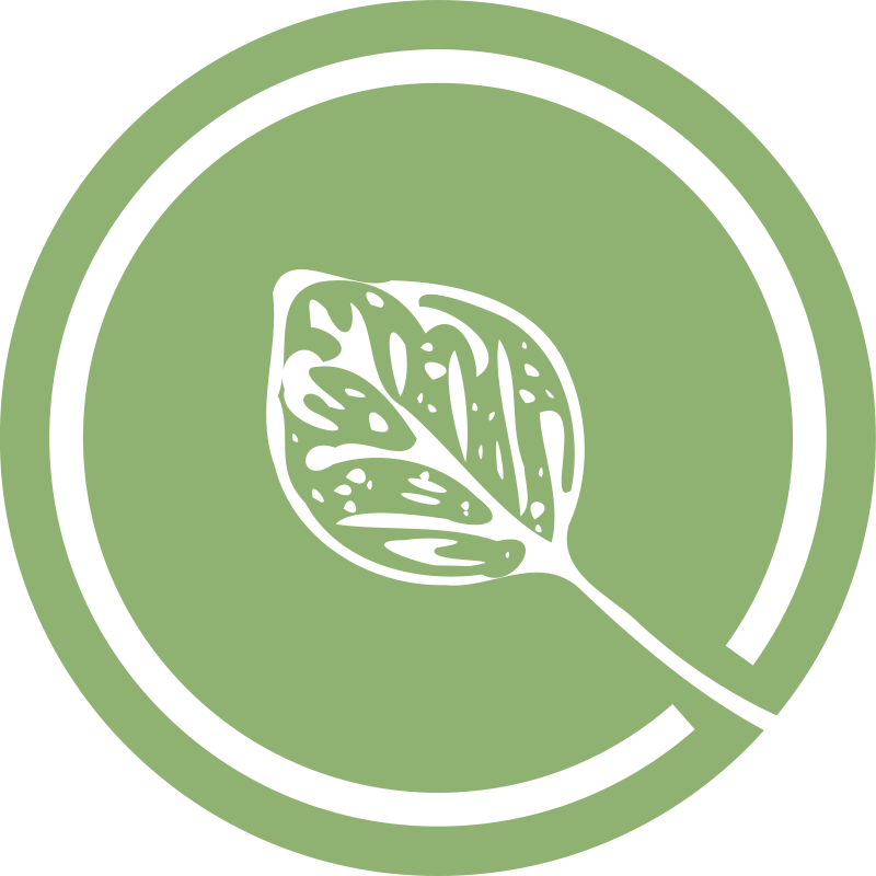 Monstera Leaf Graphic Design PNG Image