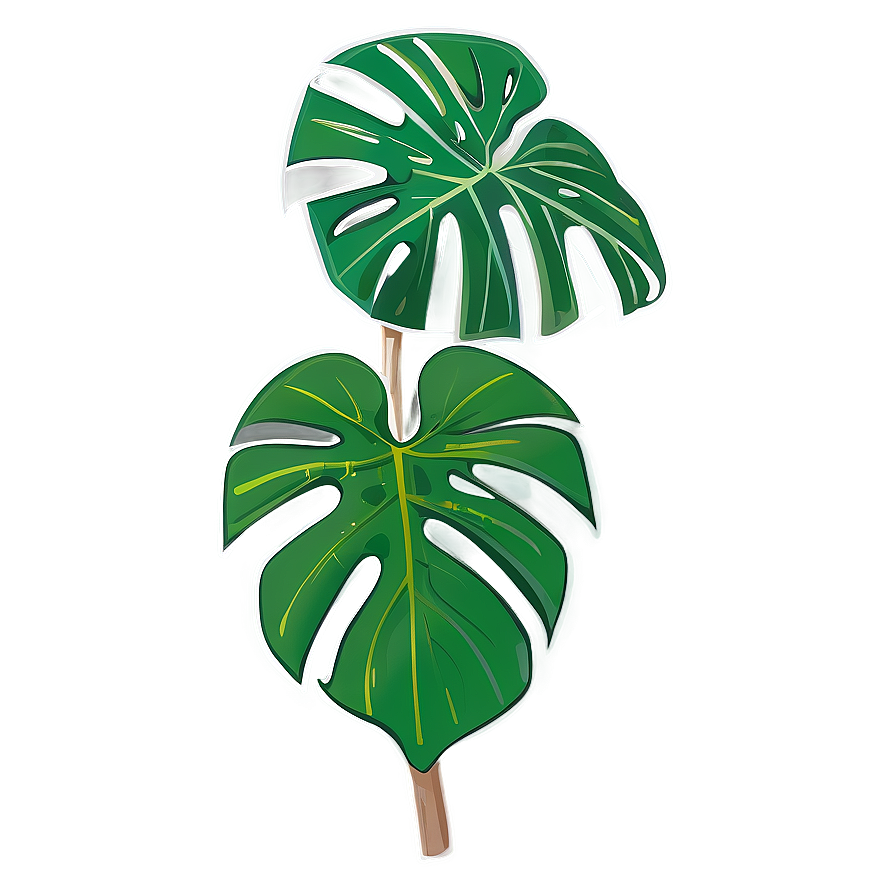 Monstera Outline Graphic Png 05232024 PNG Image