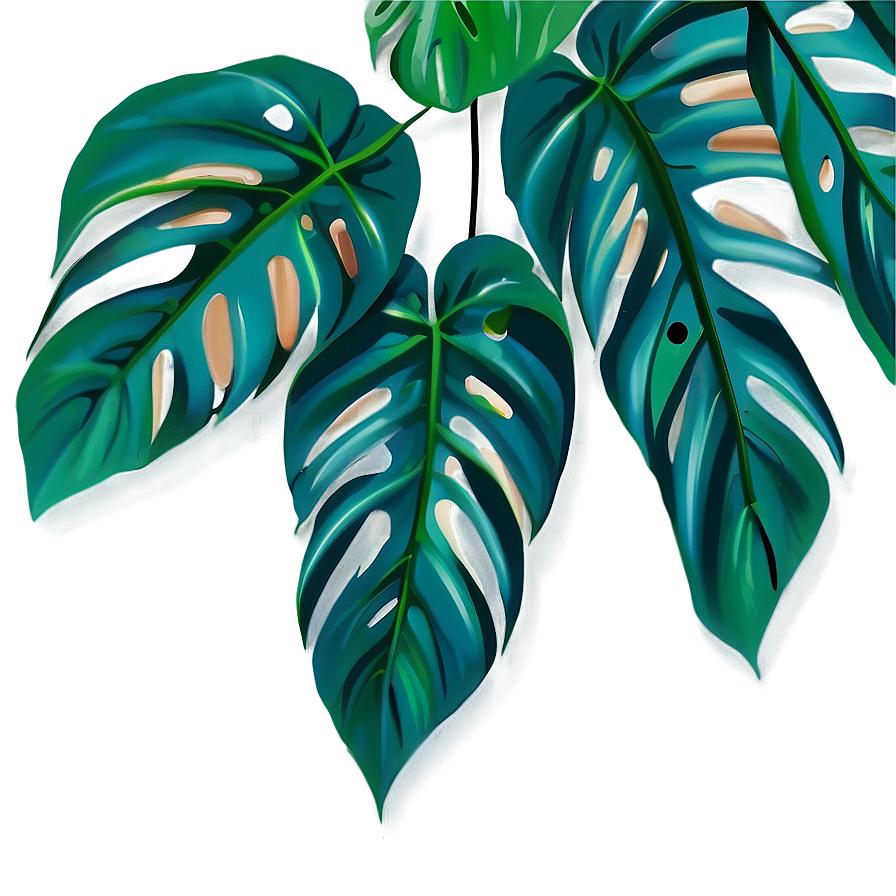 Monstera Plant In Wild Png Uah70 PNG Image