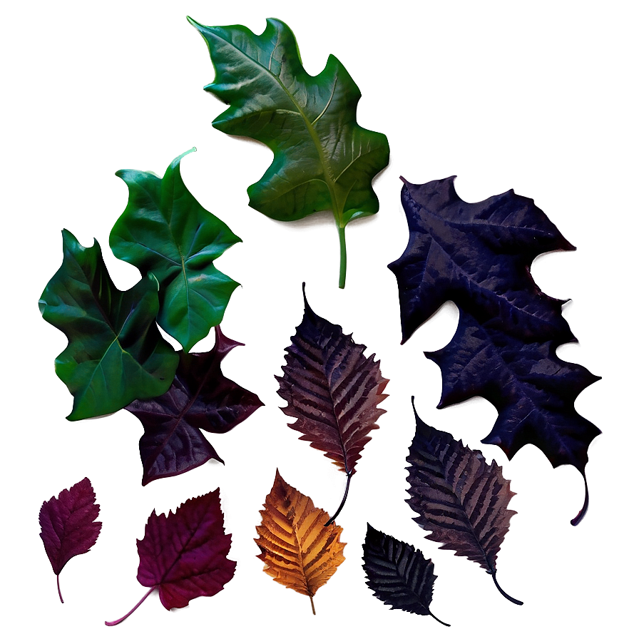 Moody Fallen Leaves Scene Png 8 PNG Image