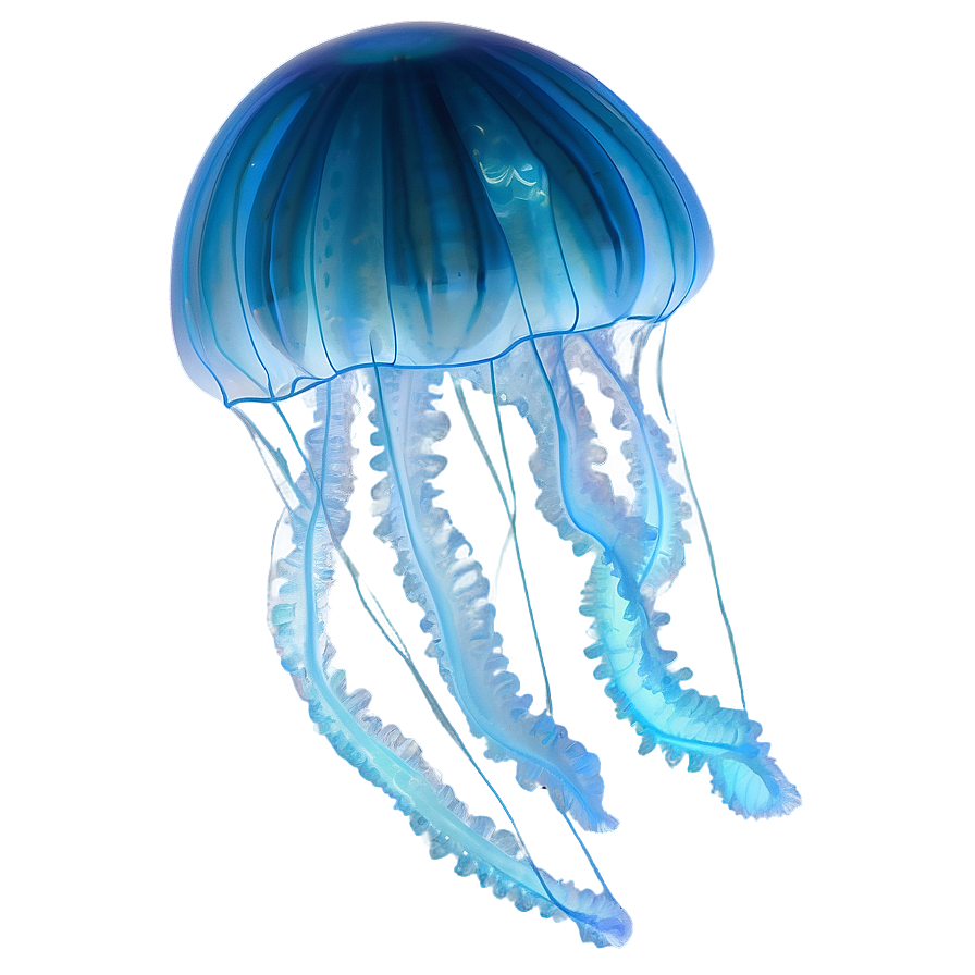 Moon Jelly In Night Sea Png Ndc63 PNG Image