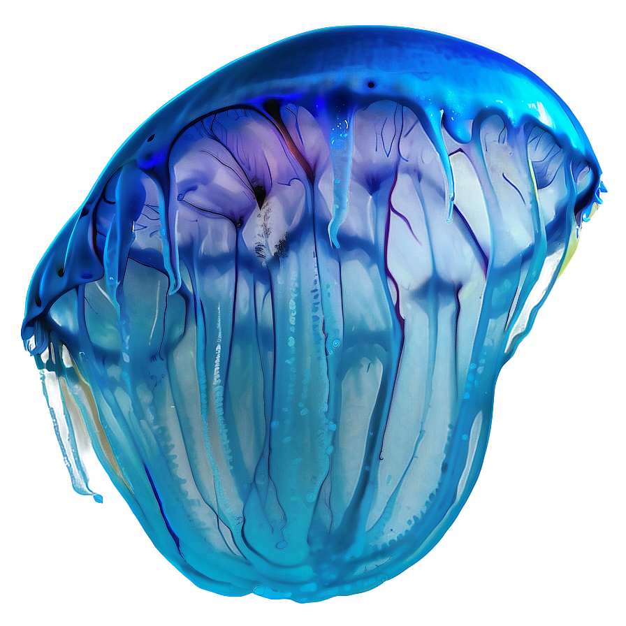 Moon Jelly In Vibrant Ecosystem Png Xvi PNG Image