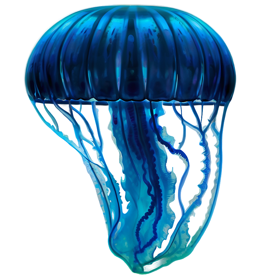 Moon Jelly Underwater Beauty Png Wgf52 PNG Image