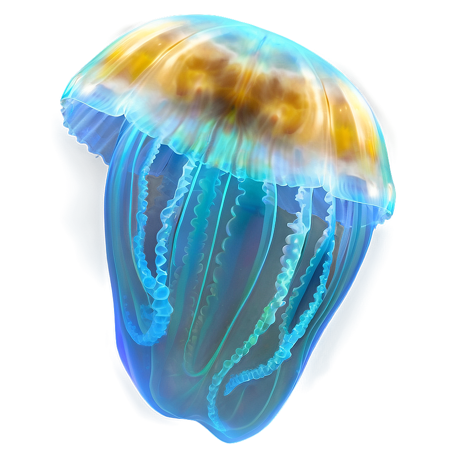 Moon Jelly With Aquatic Glow Png Ymp PNG Image