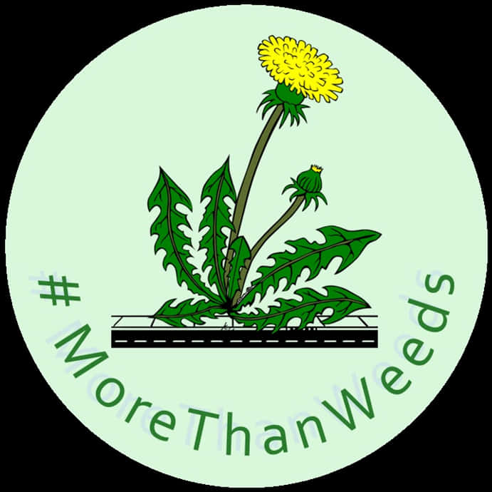 More Than Weeds_ Campaign_ Logo PNG Image