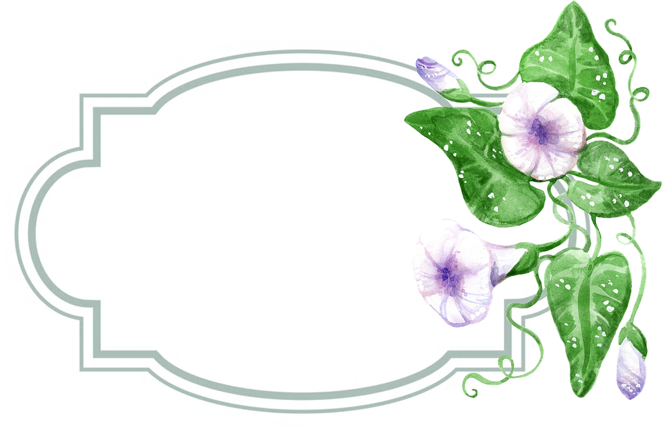 Morning Glory Watercolor Frame PNG Image