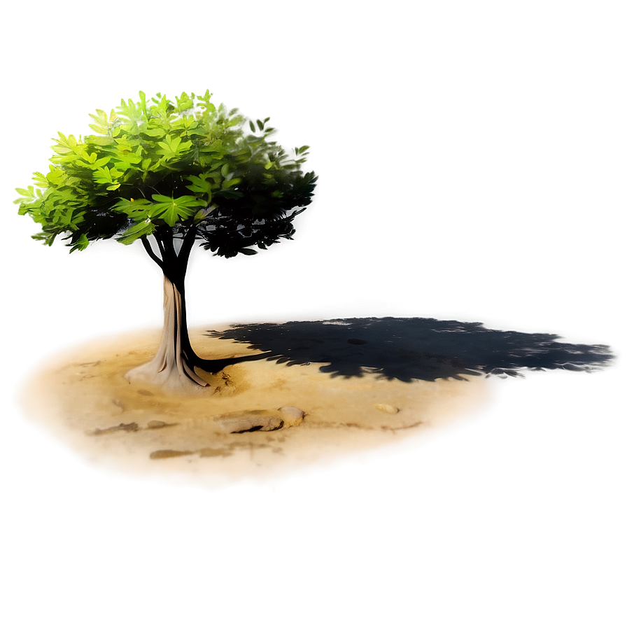 Morning Tree Shadow Png Xpv1 PNG Image