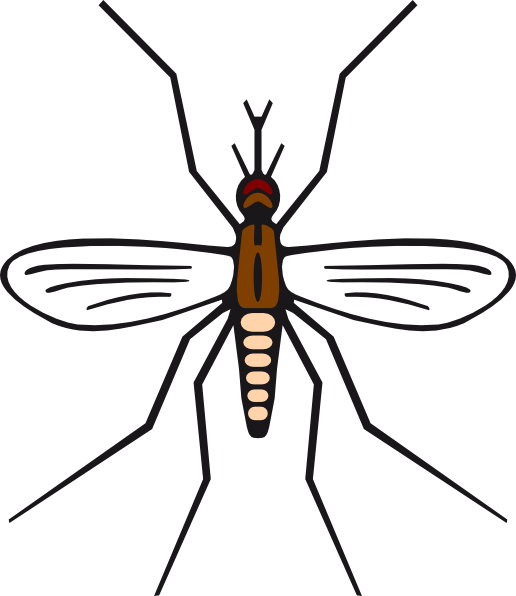 Mosquito Illustration Vector PNG Image