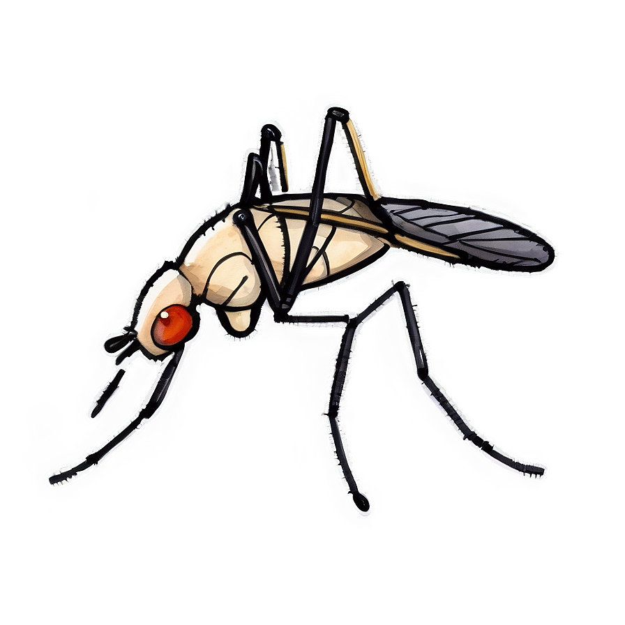 Mosquito In Watercolor Png Swe PNG Image