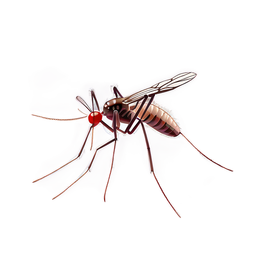 Mosquito With Transparent Background Png Xfy PNG Image