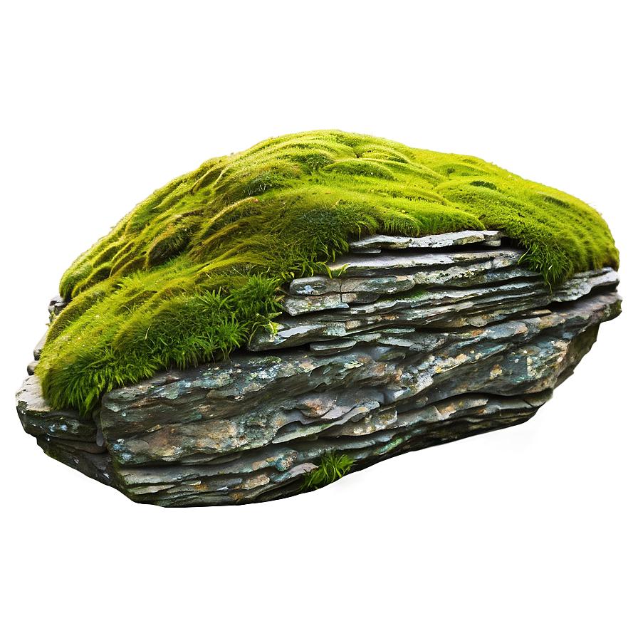 Moss Covered Rock Texture Png Quq78 PNG Image