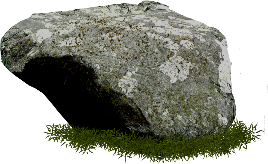 Mossy_ Rock_with_ Grass_ Texture PNG Image