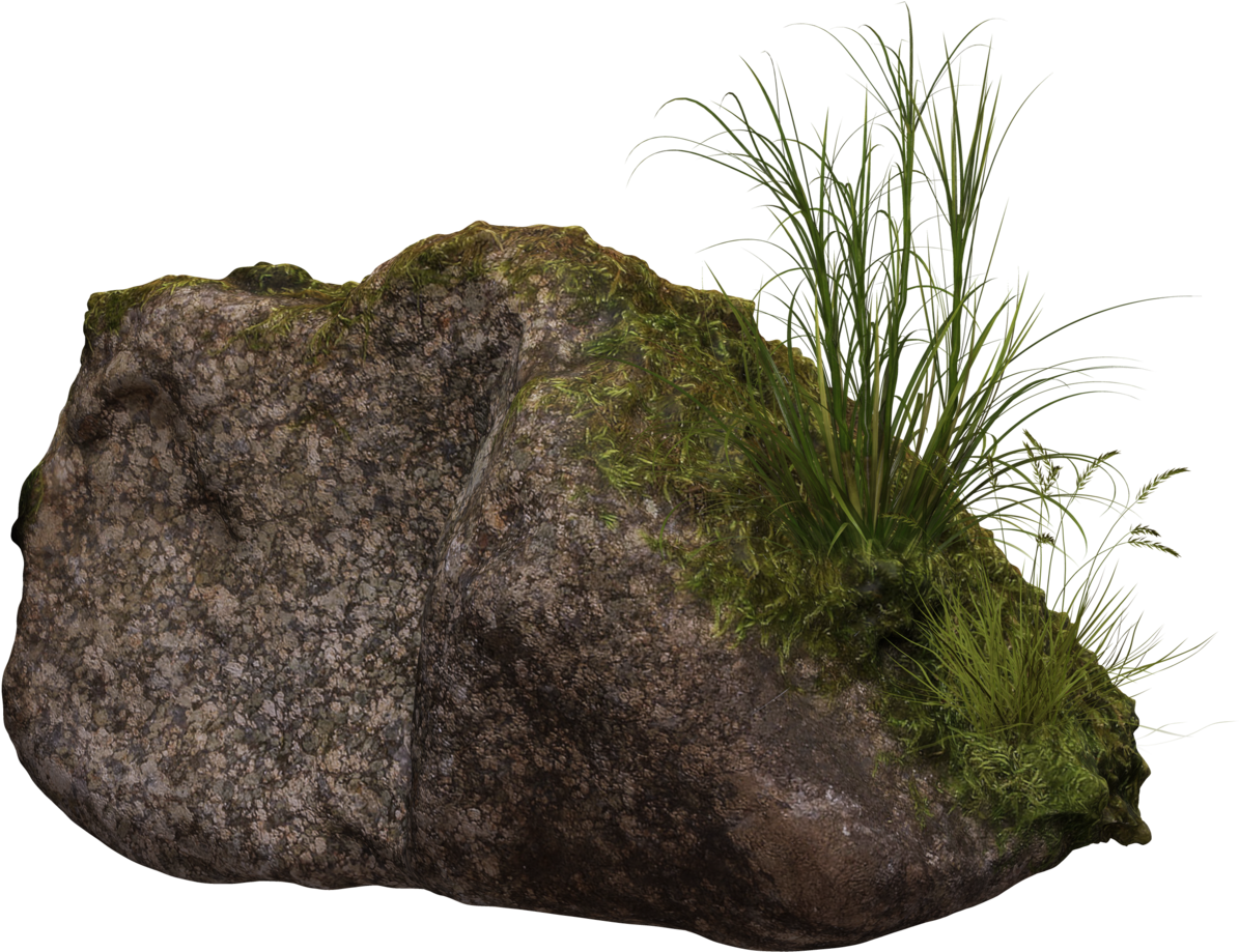 Mossy Rockwith Grass Clump PNG Image