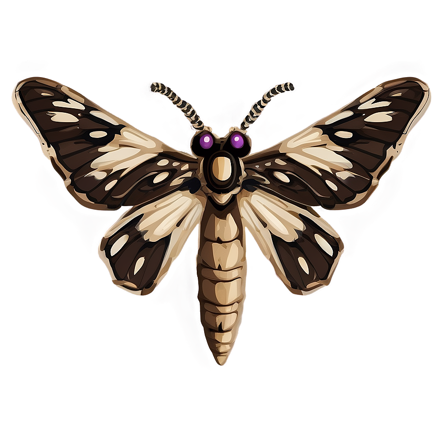 Moth Symbolism Png 05242024 PNG Image