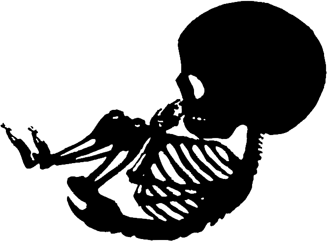 Mother Child Skeleton Silhouette PNG Image