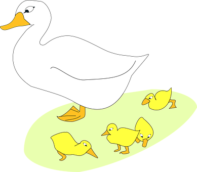 Mother Duckand Ducklings Cartoon PNG Image