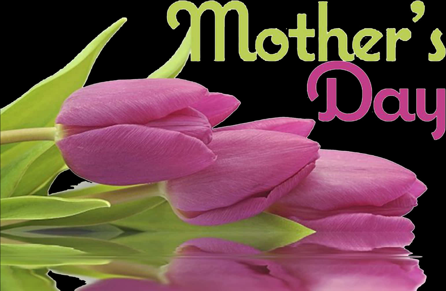 Mothers Day Pink Tulips PNG Image