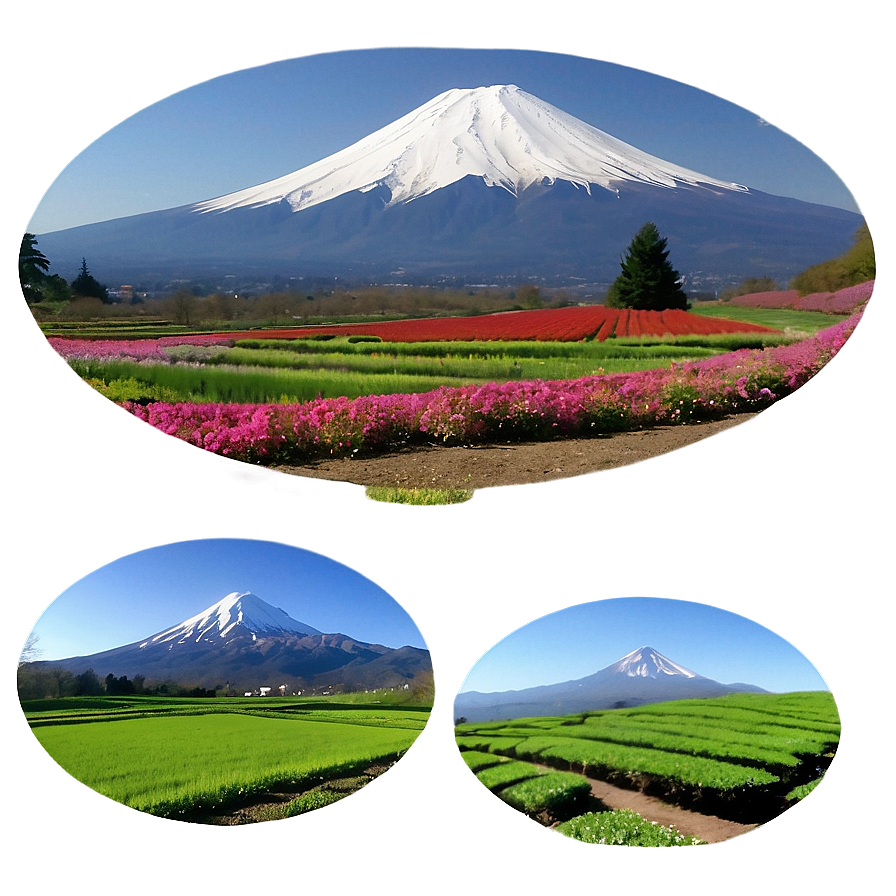 Mount Fuji And Tea Fields Png 92 PNG Image