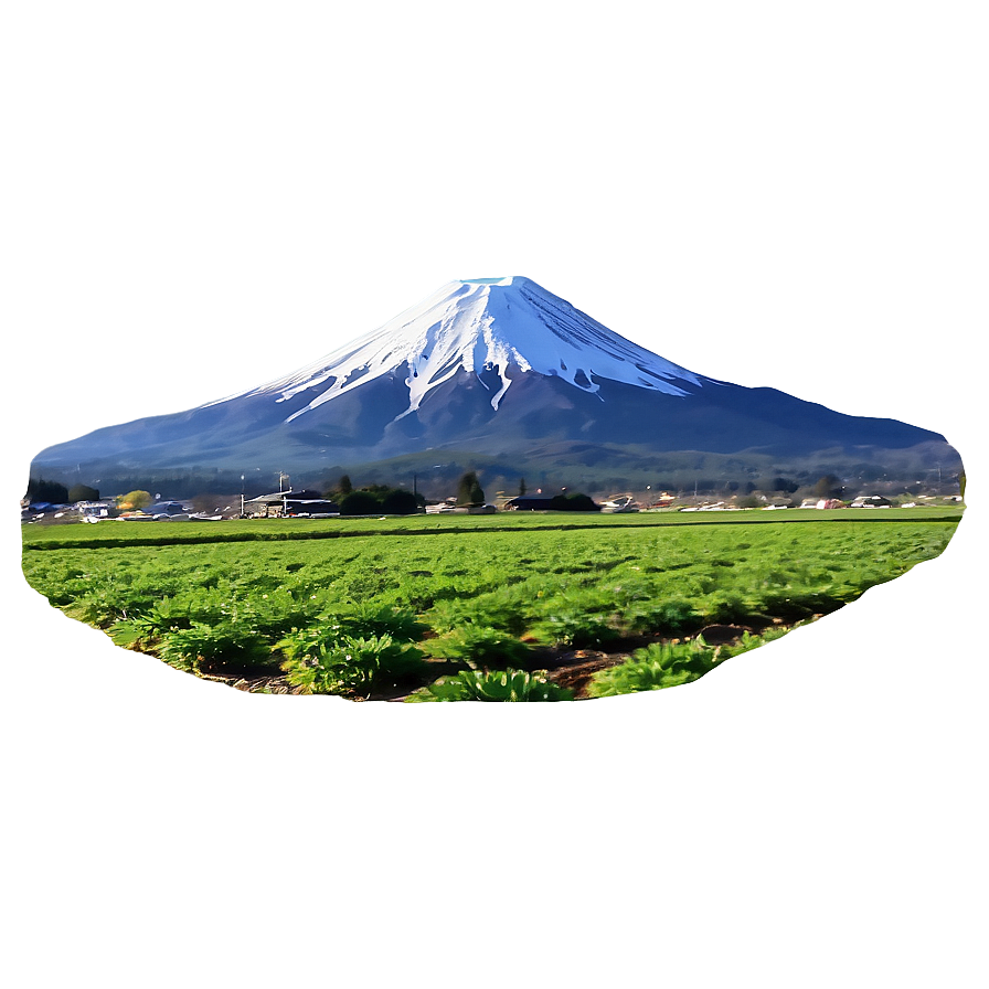 Mount Fuji And Tea Fields Png Xjk81 PNG Image