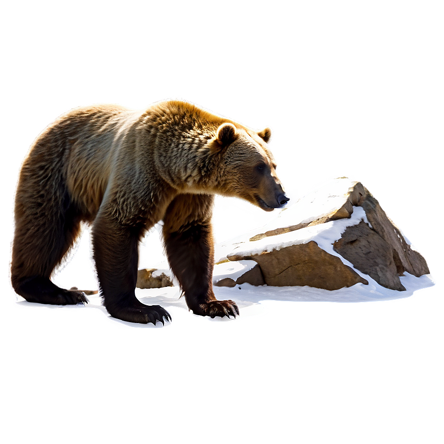 Mountain Bear Png 06112024 PNG Image