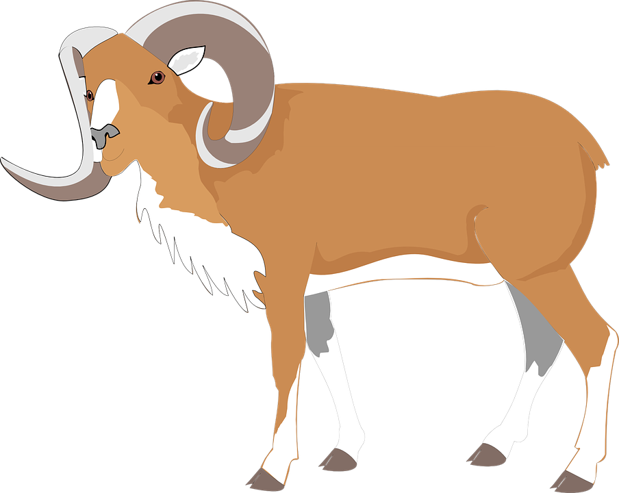 Mountain Goat Illustration PNG Image