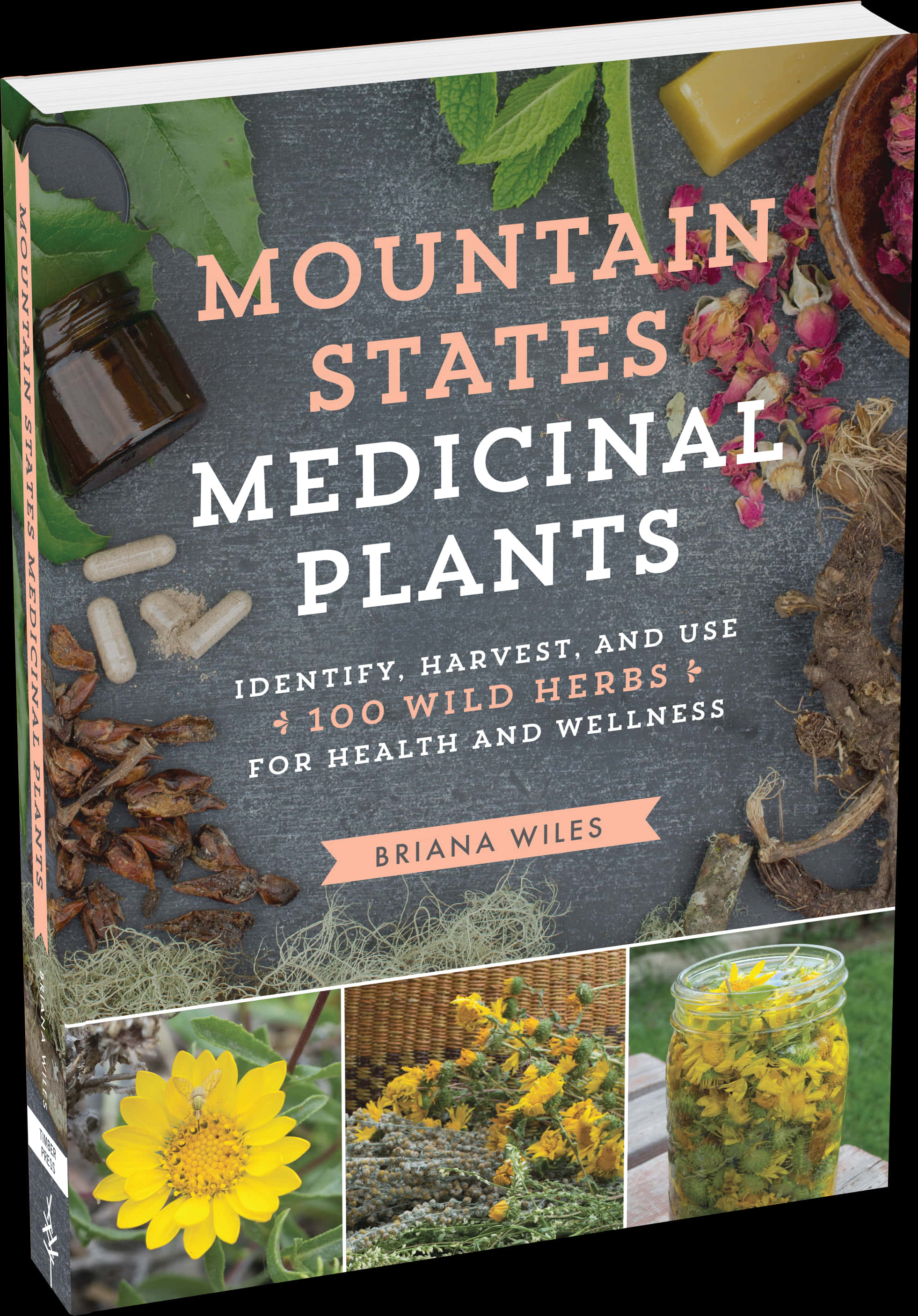 Mountain States Medicinal Plants Book Cover PNG Image