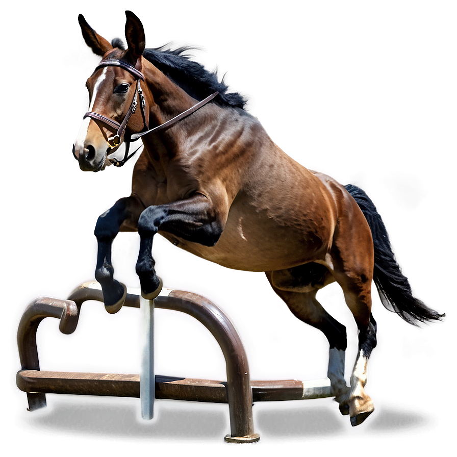 Mule Jumping Obstacle Png 06292024 PNG Image