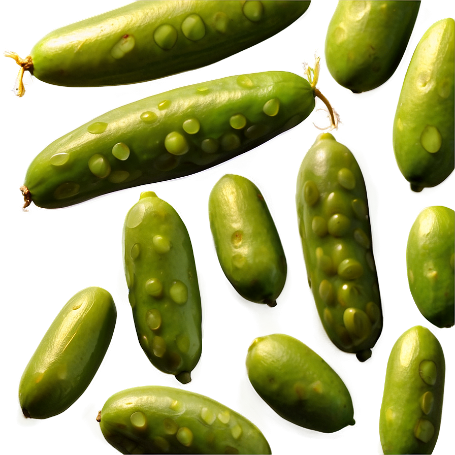 Mung Beans Png 20 PNG Image