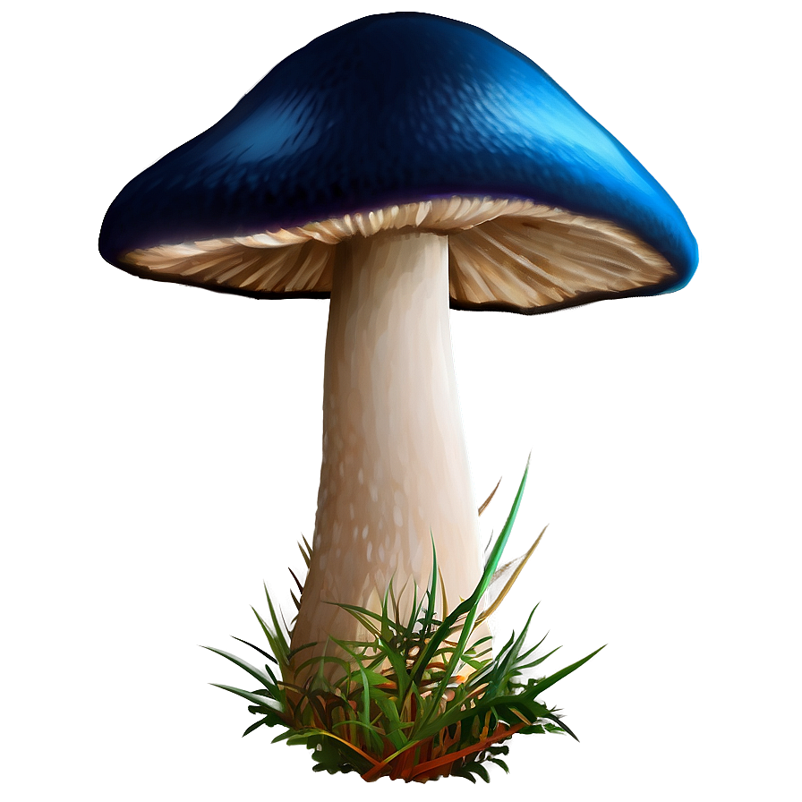 Mushroom A PNG Image