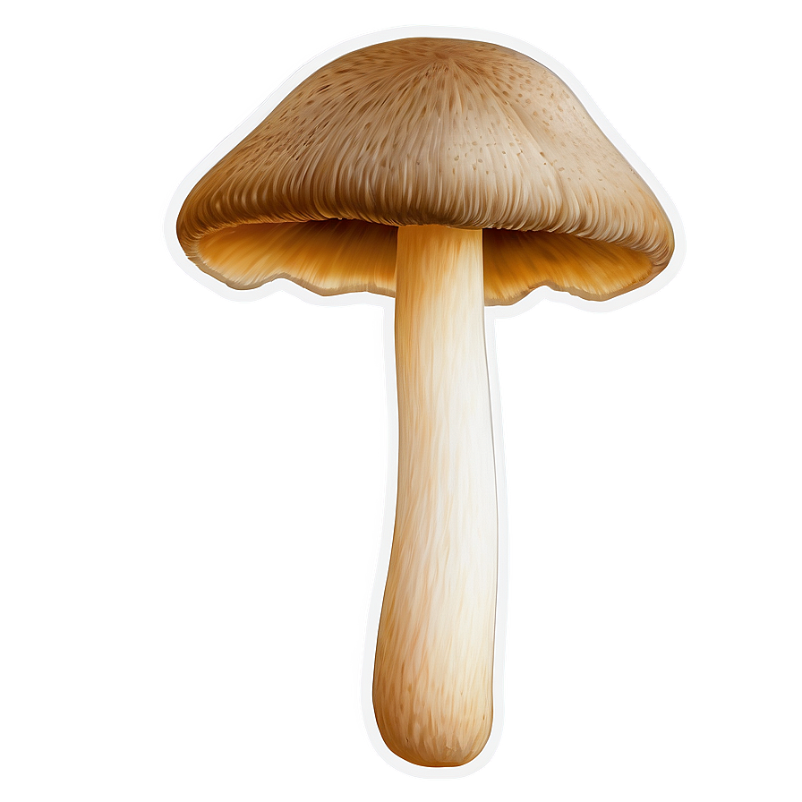 Mushroom Png Clipart 4 PNG Image