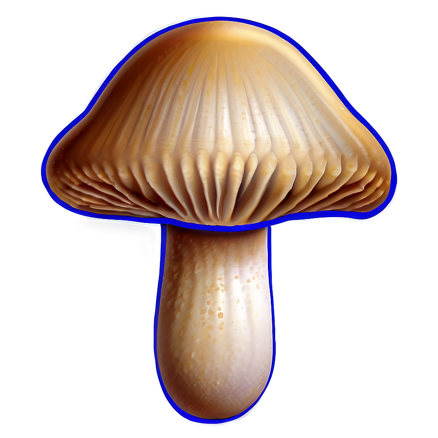 Mushroom Png Outline Blb PNG Image