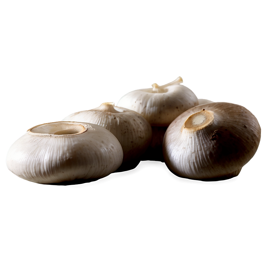 Mushroom Soup Ingredients Png Pjp PNG Image