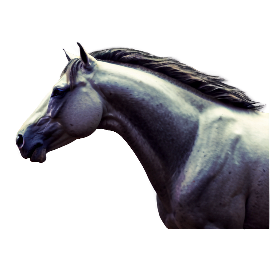 Mustang Horse C PNG Image