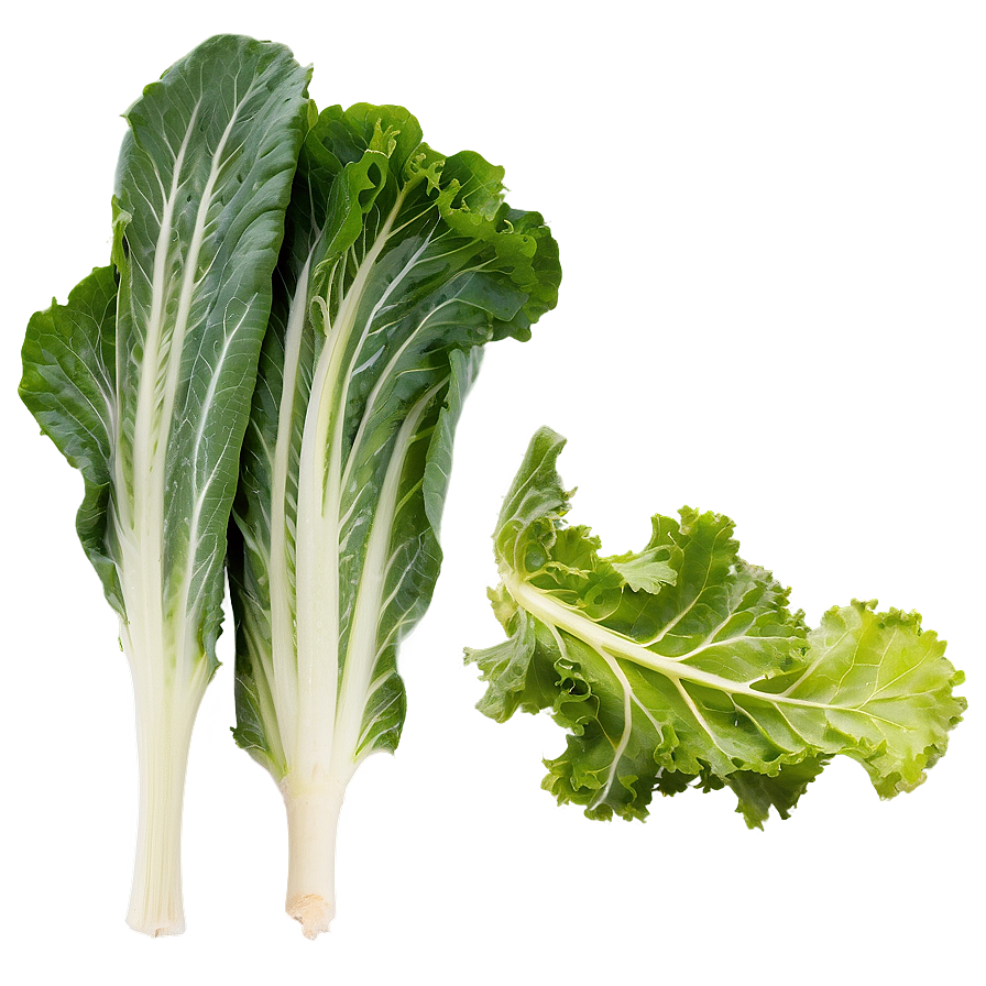 Mustard Greens Png 05242024 PNG Image