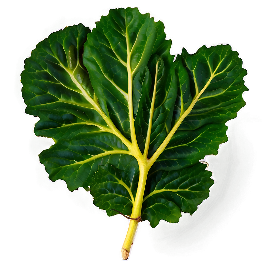 Mustard Leaves Png 05242024 PNG Image